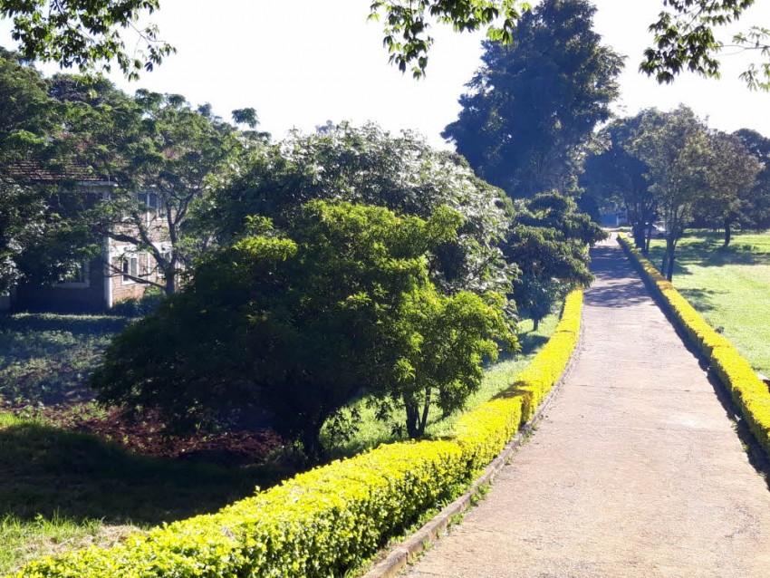 3551749274_1657626005.198620200210_08403