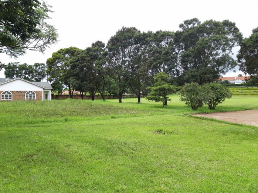 3551749274_1657626005.71920200201_170906